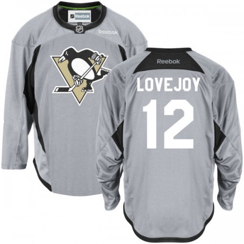 Ben Lovejoy Pittsburgh Penguins Reebok Premier Gray Practice Team Jersey ()